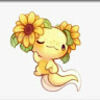 ashmi_asmi